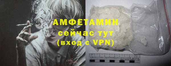 сатива Алзамай