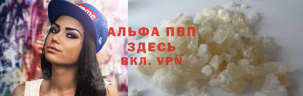 сатива Алзамай